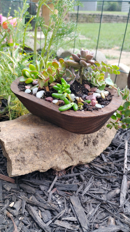 Bloom & Brew Succulent Planter Workshop